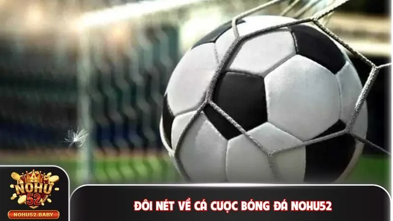 Đôi nét về cá cược bóng đá Nohu52
