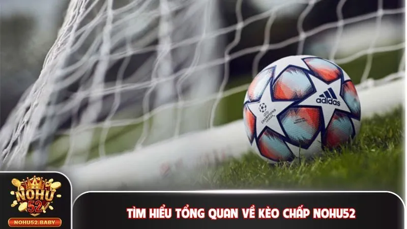 Tìm hiểu tổng quan về kèo chấp Nohu52