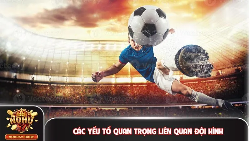 Các yếu tố quan trọng liên quan đội hình