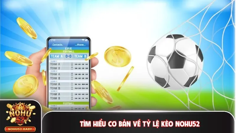 Tìm hiểu cơ bản về tỷ lệ kèo Nohu52